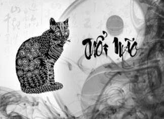 Con số may mắn tuổi Mão 27/3/2025 hôm nay