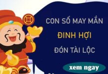 Đón tài lộc lớn cùng con số may mắn tuổi Đinh Hợi