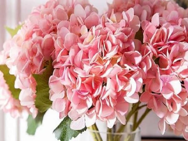 Chiêm bao thấy hoa giả trong nhà