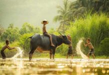 Con số may mắn tuổi Sửu 10/4/2025 mang vận may cho gia chủ