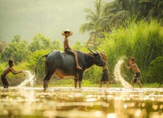 Con số may mắn tuổi Sửu 10/4/2025 mang vận may cho gia chủ