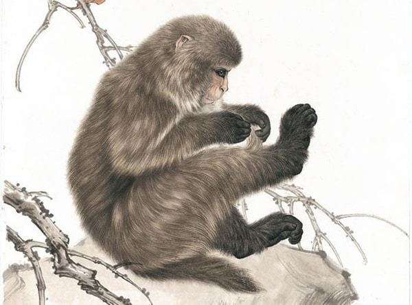 Con số may mắn tuổi Thân hôm nay giúp mở vận tài lộc