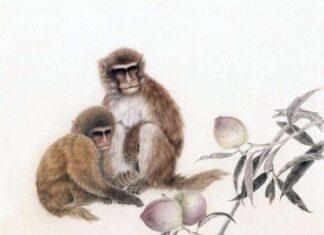 Con số may mắn tuổi Thân hôm nay giúp mở vận tài lộc Tử vi tuổi Thân hôm nay: Tài lộc & tình cảm đang chờ