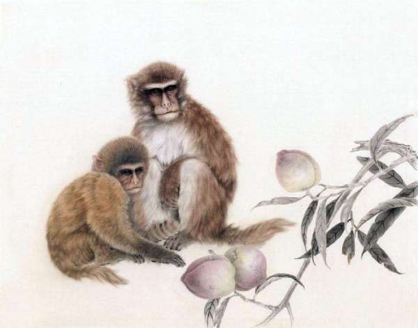 Tử vi tuổi Thân hôm nay: Tài lộc & tình cảm đang chờ