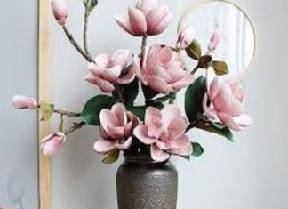 Giấc mơ thấy hoa giả báo hiệu sự thật hay chỉ ảo tưởng?