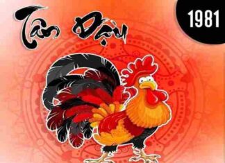 Người tuổi Tân Dậu nên đặt vật phẩm phong thủy nào hợp Bí quyết chọn vật phẩm phong thủy cho tuổi Tân Dậu 1981