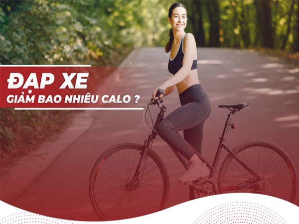 Những yếu tố ảnh hưởng đến lượng calo đốt khi đạp xe