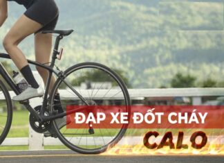 Đạp xe tốn bao nhiêu calo? Sự thật đốt mỡ từ vòng bánh xe Đạp xe tốn bao nhiêu calo? Sự thật đốt mỡ từ vòng bánh xe