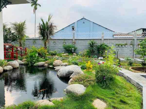 Hình dáng và kích thước hồ nước