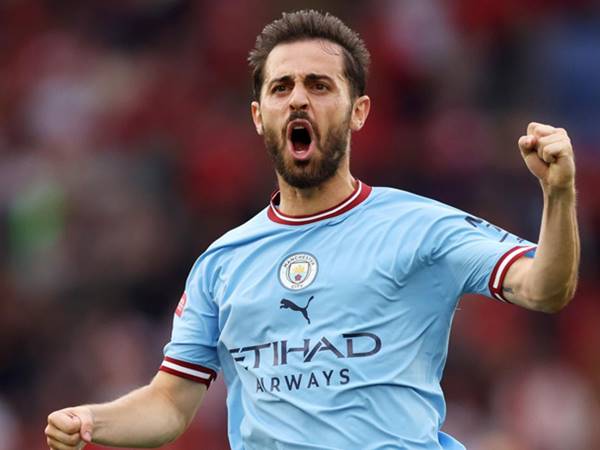 Các danh hiệu đáng tự hào của Bernardo Silva