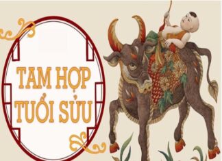 Tam hợp tuổi Sửu ảnh hưởng thế nào tới vận mệnh cuộc sống