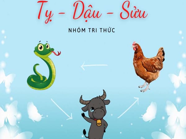 Tam hợp tuổi Sửu là gì?