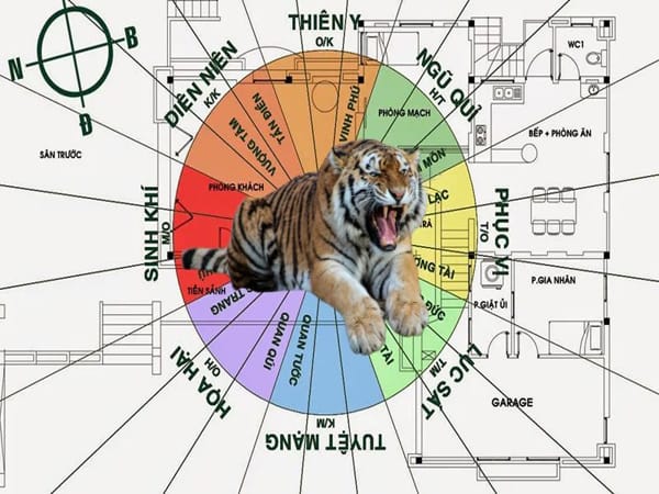 Tuổi Dần hợp hướng nào chuẩn phong thủy mang tài lộc