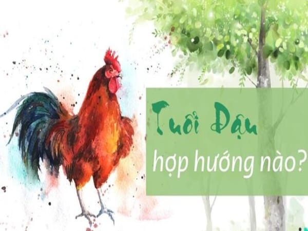 Quý Dậu hợp hướng nào chuẩn phong thủy mang tài lộc