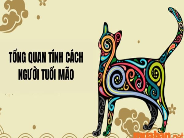 Ứng dụng trong hôn nhân và công việc