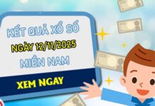 Dự đoán XSMN 12/11/2025 tham khảo xổ số miền Nam VIP