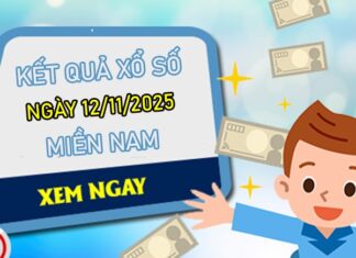 Dự đoán XSMN 12/11/2025 tham khảo xổ số miền Nam VIP