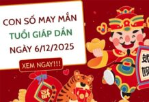 Vận may tới cùng số tài lộc tuổi Giáp Dần ngày 6/12/2025