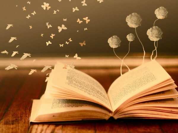 Khám phá ý nghĩa giấc mơ thấy sách cũ là điềm gì