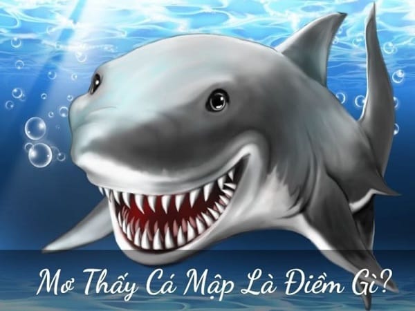 Giải mã chi tiết các giấc mơ thấy cá mập là điềm gì?