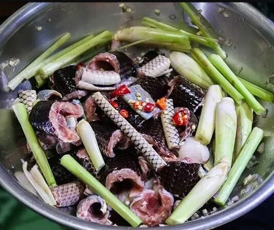 Nằm mơ thấy ăn thịt rắn là điềm gì, con số tâm linh số mấy?